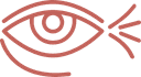 eye-icon